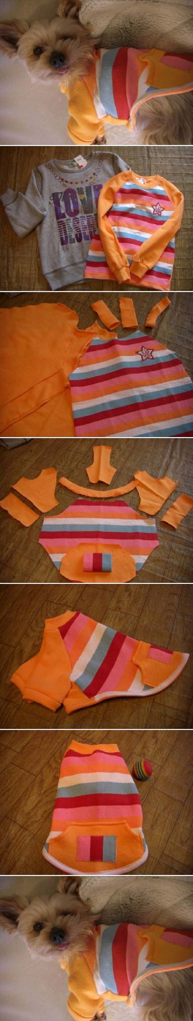 DIY Projects for Your Pet - Easy DIY Dog Sweater- Cat and Dog Beds, Treats, Collars and Easy Crafts to Make for Toys - Homemade Dog Biscuits, Food and Treats - Fun Ideas for Teen, Tweens and Adults to Make for Pets 