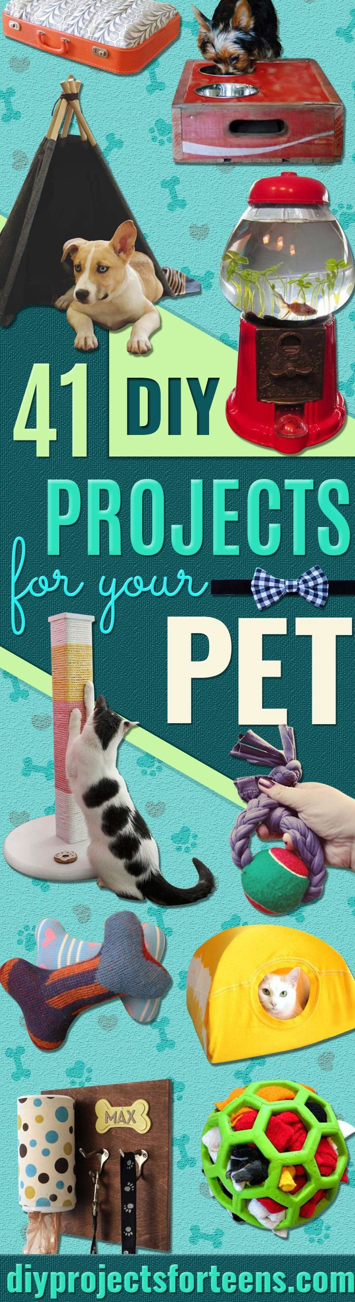 DIY Projects for Your Pet -Cat and Dog Beds, Treats, Collars and Easy Crafts to Make for Toys - Homemade Dog Biscuits, Food and Treats - Fun Ideas for Teen, Tweens and Adults to Make for Pets