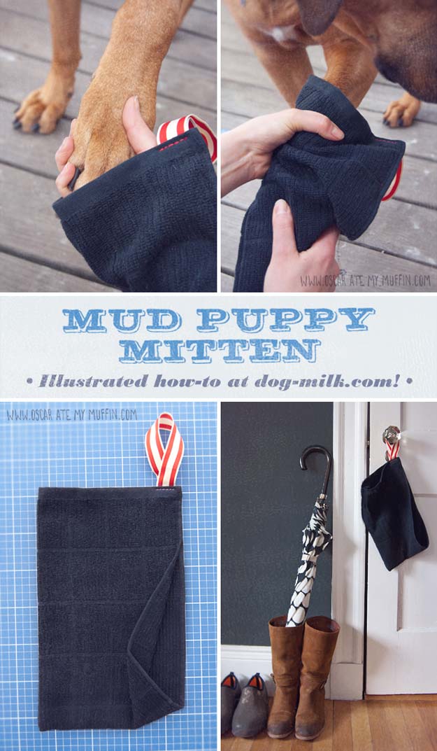 DIY Projects for Your Pet - Easy DIY Mud Puppy Mitten - Cat and Dog Beds, Treats, Collars and Easy Crafts to Make for Toys - Homemade Dog Biscuits, Food and Treats - Fun Ideas for Teen, Tweens and Adults to Make for Pets 