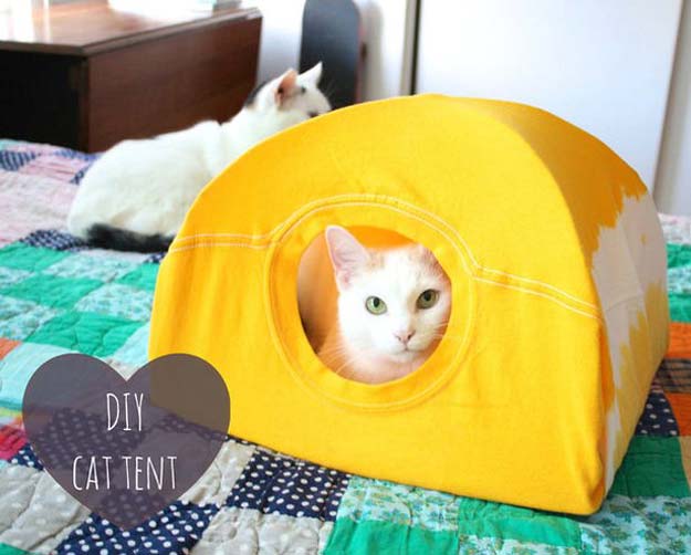 DIY Projects for Your Pet - Easy Cat Tent - Cat and Dog Beds, Treats, Collars and Easy Crafts to Make for Toys - Homemade Dog Biscuits, Food and Treats - Fun Ideas for Teen, Tweens and Adults to Make for Pets