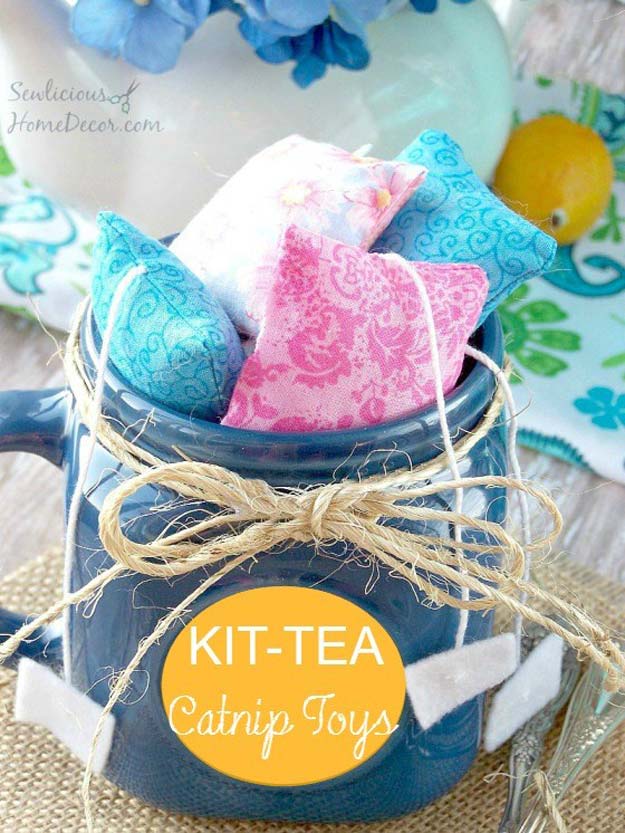 DIY Projects for Your Pet - Easy Catnip Cat Toys - Cat and Dog Beds, Treats, Collars and Easy Crafts to Make for Toys - Homemade Dog Biscuits, Food and Treats - Fun Ideas for Teen, Tweens and Adults to Make for Pets 
