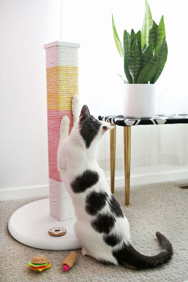 DIY Projects for Your Pet - Easy Cat Scratching Post Tutorial - Cat and Dog Beds, Treats, Collars and Easy Crafts to Make for Toys - Homemade Dog Biscuits, Food and Treats - Fun Ideas for Teen, Tweens and Adults to Make for Pets 