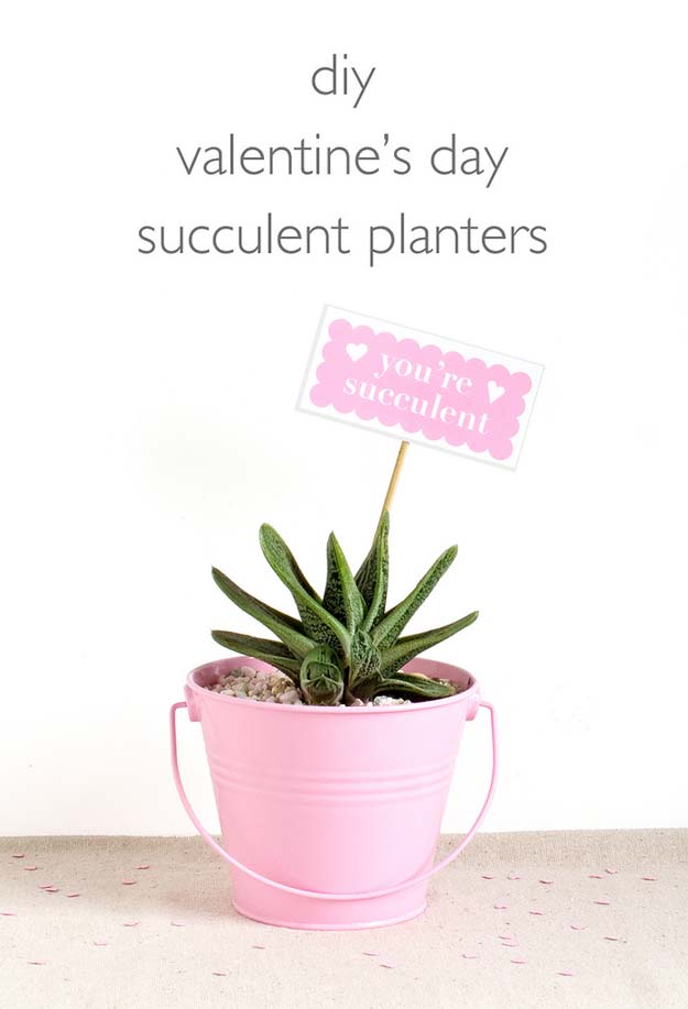 DIY Valentine Gifts - Succulent Planters - Gifts for Her and Him, Teens, Teenagers and Tweens - Mason Jar Ideas, Homemade Cards, Cheap and Easy Gift Ideas for Valentine Presents 