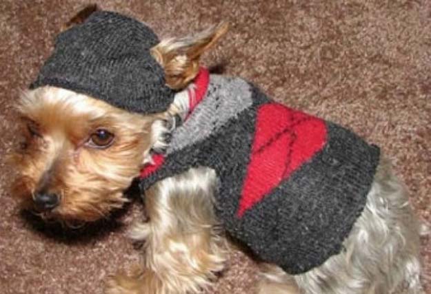 Cool Crafts Made With Old Socks - How To Make A Dog Sweater From A Sock - Fun DIY Projects and Gifts You Can Make With A Sock - Easy DIY Ideas for Teens, Teenagers, Kids and Adults - Step by Step Tutorials and Instructions for Making Room Decor, Animals, Cat, Rabbit, Owl, Puppets, Snowman, Gloves 