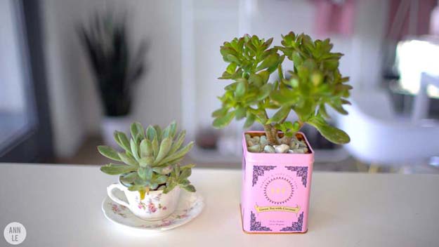 Fun DIY Ideas for Your Desk - Teatime Planters - Cubicles, Ideas for Teens and Student - Cheap Dollar Tree Storage and Decor for Offices and Home - Cool DIY Projects and Crafts for Teens 