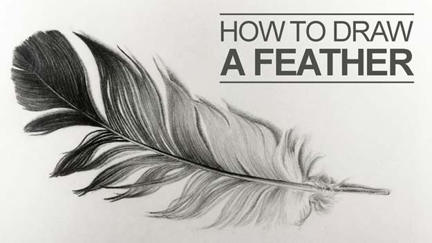 Cool Drawing Tutorials - How To Draw a Feather or Feathers - Learn How To Draw Animals, Easy People, Step by Step Drawing and Tutorial With Instructions - Creative Arts and Crafts Ideas for Teens - Shapes, Shading, Buildings, School Art Projects, Drawing for Beginners and Teenagers, Kids #drawing #art #drawingtutorials
