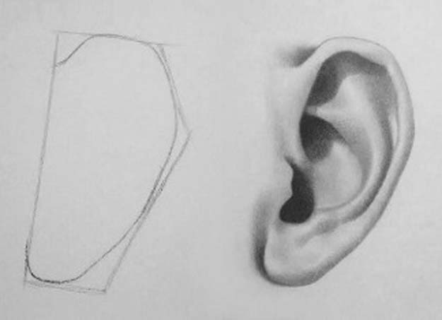Cool Drawing Tutorials - How To Draw An Ear, Ears- Learn How To Draw Animals, Easy People, Step by Step Drawing and Tutorial With Instructions - Creative Arts and Crafts Ideas for Teens - Shapes, Shading, Buildings, School Art Projects, Drawing for Beginners and Teenagers, Kids #drawing #art #drawingtutorials