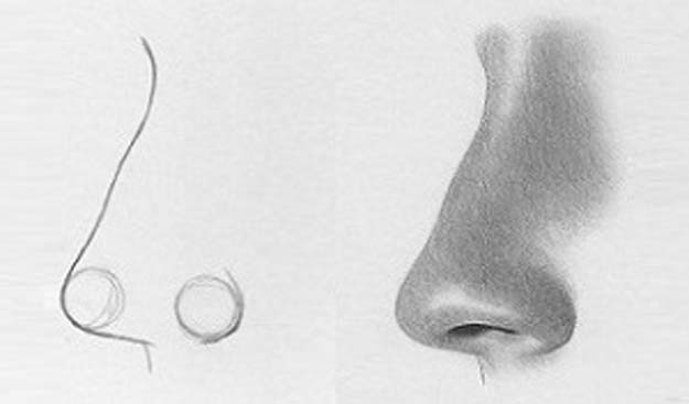 Cool Drawing Tutorials - How To Draw a Nose or Noses and Faces - Learn How To Draw Animals, Easy People, Step by Step Drawing and Tutorial With Instructions - Creative Arts and Crafts Ideas for Teens - Shapes, Shading, Buildings, School Art Projects, Drawing for Beginners and Teenagers, Kids #drawing #art #drawingtutorials