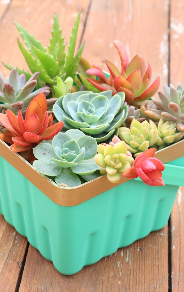 Best DIY Ideas for Teens To Make This Summer - Simple Berry Basket Succulent Planter - Fun and Easy Crafts, Room Decor, Toys and Craft Projects to Make And Sell - Cool Gifts for Friends, Awesome Things To Do When You Are Bored - Teenagers - Boys and Girls Love Making These Creative Projects With Step by Step Tutorials and Instructions #diyideas #summer #teencrafts #crafts