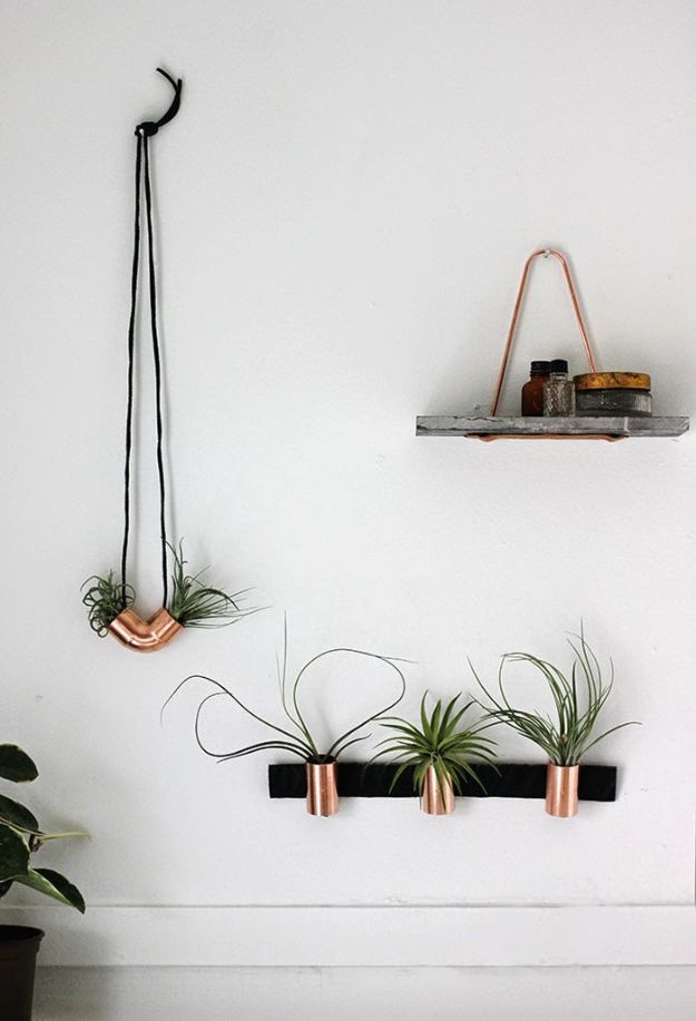 Cheap Wall Decor Ideas - Minimal Copper Airplant Holders - Cute and Easy Room Decor for Teens - Ideas for Teenager Bedroom Walls - Boys and Girls Room Canvas Wall Art and Decorating #teen #roomdecor #diydecor