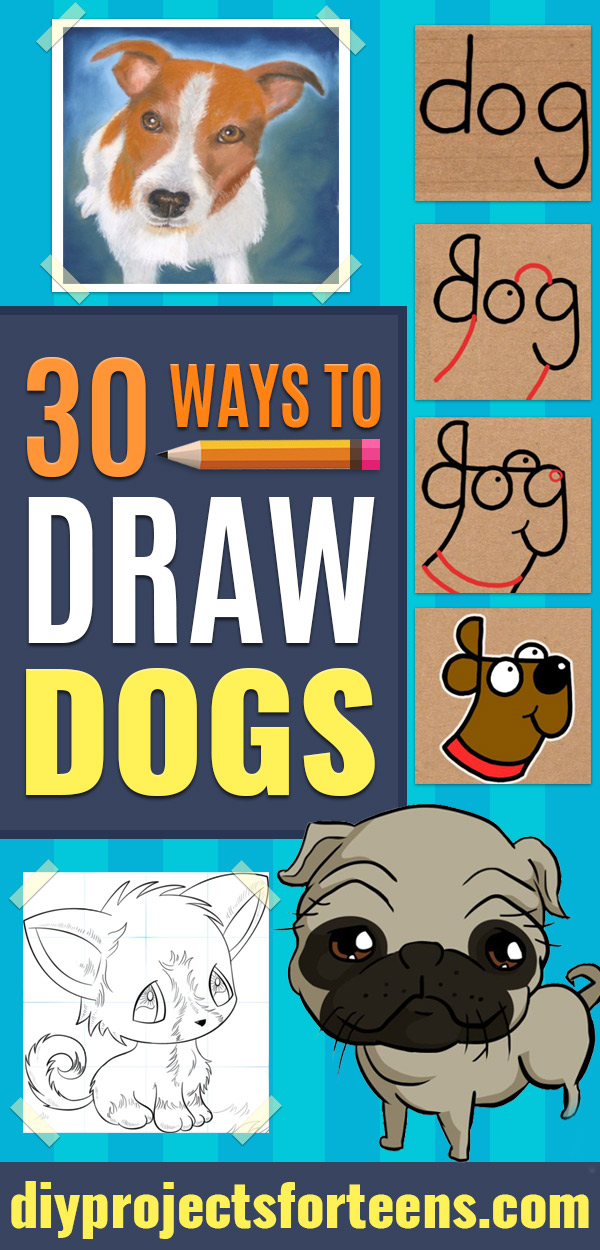 30 Ways to Draw Dogs
