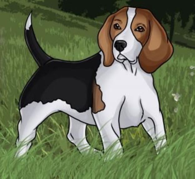 How to Draw Dogs - Draw A Beagle - Easy Step by Step Drawing Tutorial - Learn How To Draw A Dog and Cute Puppies - Cartoon and Realistic Animals