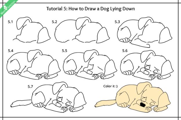 How to Draw Dogs - Draw A Dog Lying Down - Easy Step by Step Drawing Tutorial - Learn How To Draw A Dog and Cute Puppies - Cartoon and Realistic Animals