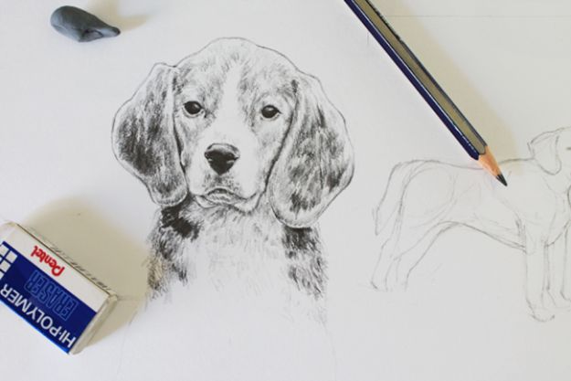 How to Draw Dogs - Draw A Realistic Dog - Easy Step by Step Drawing Tutorial - Learn How To Draw A Dog and Cute Puppies - Cartoon and Realistic Animals