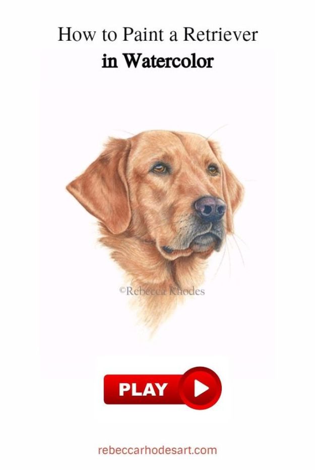 How to Draw Dogs - Draw A Retriever - Easy Step by Step Drawing Tutorial - Learn How To Draw A Dog and Cute Puppies - Cartoon and Realistic Animals