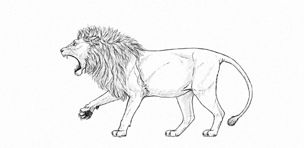 100 How To Draw Tutorials - Draw A Roaring Lion - Eyes, Hair, Face, Lips, People, Animals, Hands - Step by Step Drawing Tutorial for Beginners - Free Easy Lessons