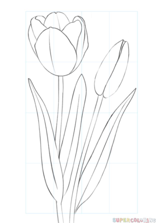 Flower Drawing Tutorials - Draw A Tulip - Simple Tutorial for Easy Flower Doodles, Vintage Design Ideas for Flowers, Step by Step Pencil Drawings - How to Draw a Rose, Lily, Hibiscus, Daisy