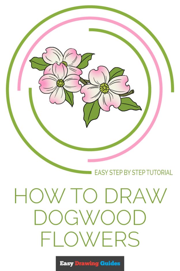 Flower Drawing Tutorials - Draw Dogwood Flowers - Simple Tutorial for Easy Flower Doodles, Vintage Design Ideas for Flowers, Step by Step Pencil Drawings - How to Draw a Rose, Lily, Hibiscus, Daisy