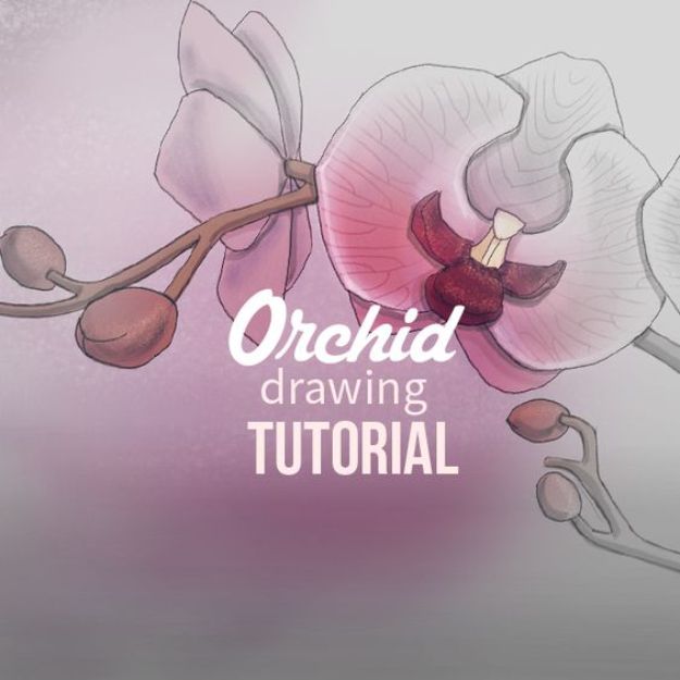 Flower Drawing Tutorials - Draw Orchids with PicsArt - Simple Tutorial for Easy Flower Doodles, Vintage Design Ideas for Flowers, Step by Step Pencil Drawings - How to Draw a Rose, Lily, Hibiscus, Daisy