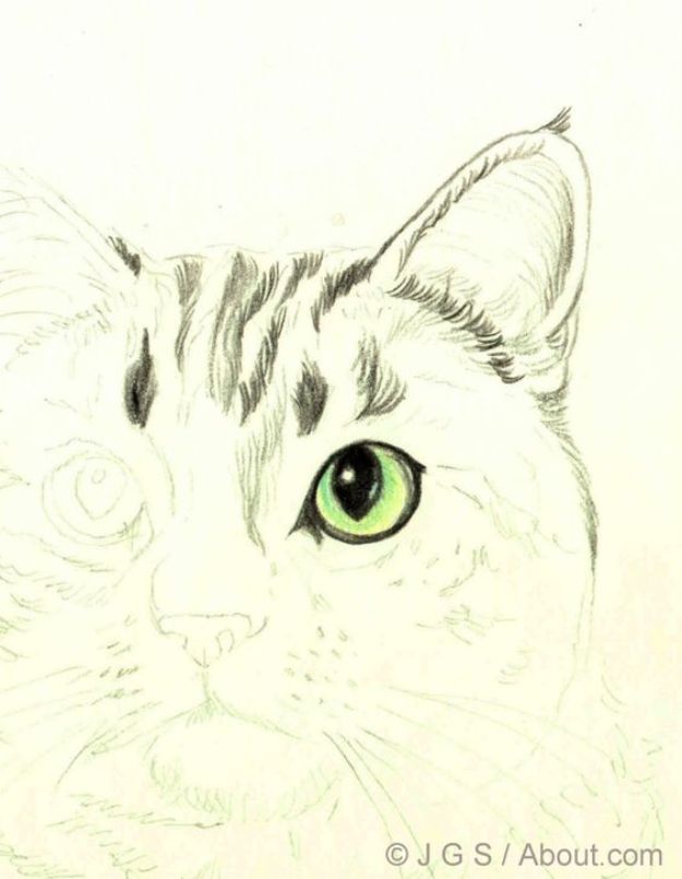 How to Draw a Cat in Colored Pencil - Free Drawing Tutorial for Cat Drawing Idea Realistic - Online Art Tutorials That Don't Cost Money