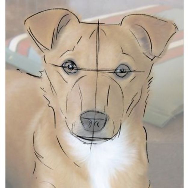 How to Draw Dogs - Draw a Dog From a Photograph - Easy Step by Step Drawing Tutorial - Learn How To Draw A Dog and Cute Puppies - Cartoon and Realistic Animals