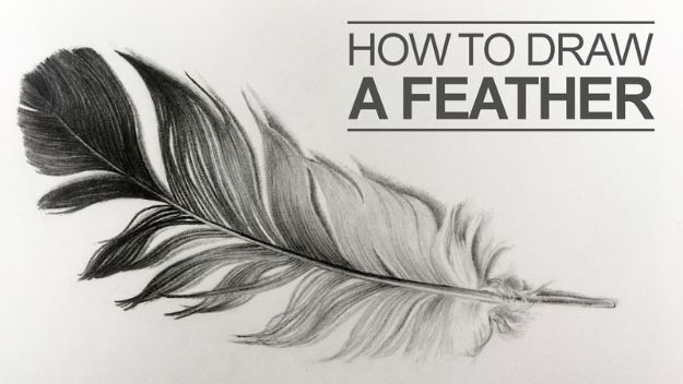 100 How To Draw Tutorials - Draw a Feather - Eyes, Hair, Face, Lips, People, Animals, Hands - Step by Step Drawing Tutorial for Beginners - Free Easy Lessons