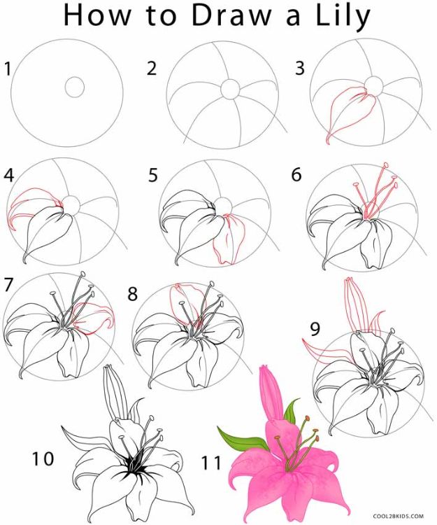 Flower Drawing Tutorials - Draw a Lily - Simple Tutorial for Easy Flower Doodles, Vintage Design Ideas for Flowers, Step by Step Pencil Drawings - How to Draw a Rose, Lily, Hibiscus, Daisy