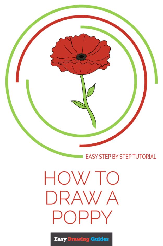 100 How To Draw Tutorials - Draw a Poppy - Eyes, Hair, Face, Lips, People, Animals, Hands - Step by Step Drawing Tutorial for Beginners - Free Easy Lessons