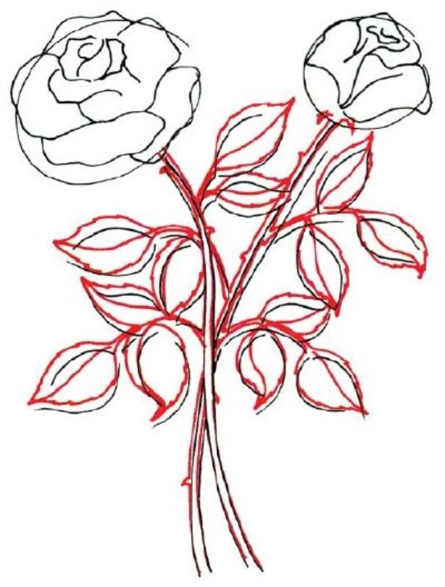 Flower Drawing Tutorials - Draw a Rose in 5 Steps - Simple Tutorial for Easy Flower Doodles, Vintage Design Ideas for Flowers, Step by Step Pencil Drawings - How to Draw a Rose, Lily, Hibiscus, DaisyFlower Drawing Tutorials - Draw a Rose in 5 Steps - Simple Tutorial for Easy Flower Doodles, Vintage Design Ideas for Flowers, Step by Step Pencil Drawings - How to Draw a Rose, Lily, Hibiscus, Daisy