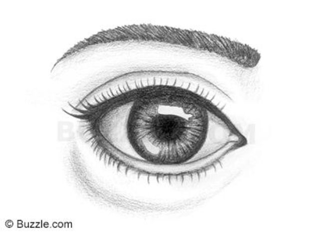 Eye Drawing Tutorials - Draw Lively Human Eyes - Eays Ways to Learn How to Draw Eyes - How To Draw A Realistic Eye - Shading Eyes, Coloring Techniques and Step by Step Tutorials for Eye Drawings