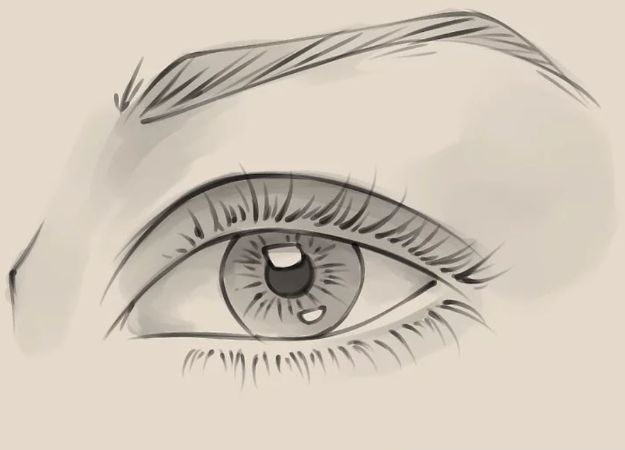 Eye Drawing Tutorials - Draw a Realistic Female Eye - Eays Ways to Learn How to Draw Eyes - How To Draw A Realistic Eye - Shading Eyes, Coloring Techniques and Step by Step Tutorials for Eye Drawings